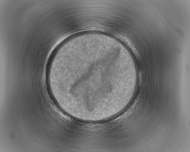 X0000111870780200908201216