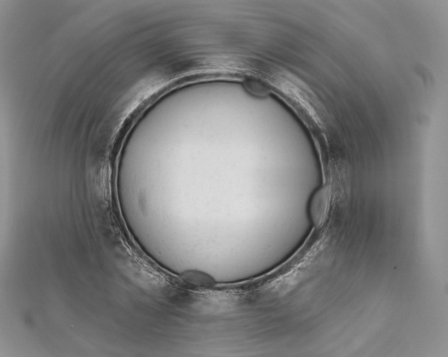 X0000111870781200908201216