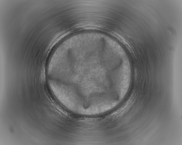 X0000111870782200908201216