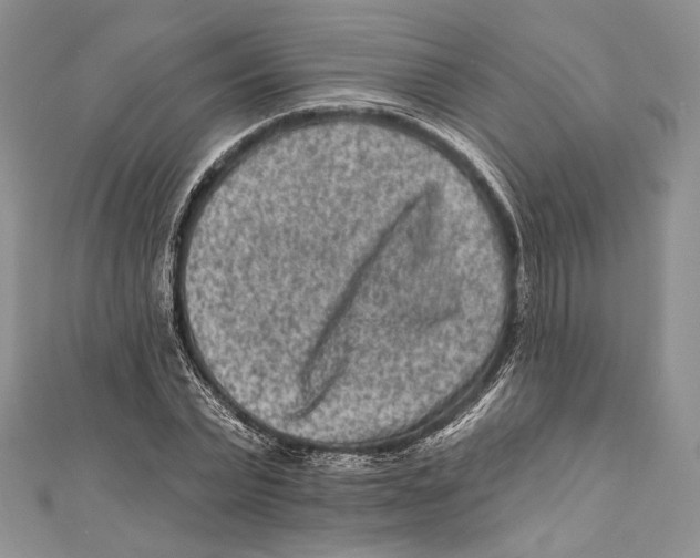 X0000111870783200908201216