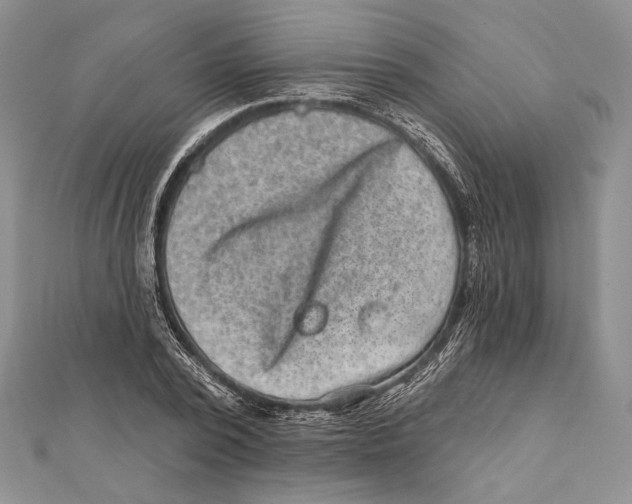 X0000111870784200908201216