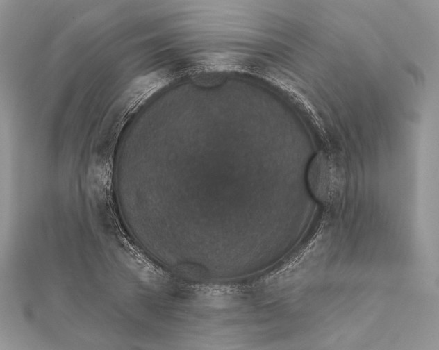 X0000111870785200908201216