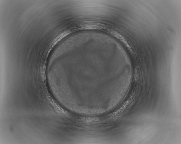 X0000111870786200908201216