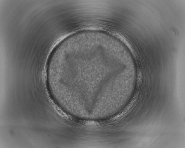 X0000111870787200908201216