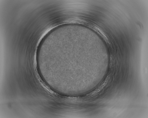 X0000111870788200908201216