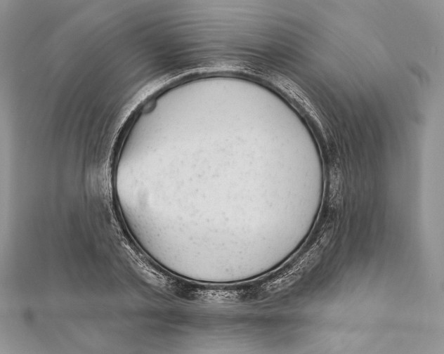 X0000111870789200908201216