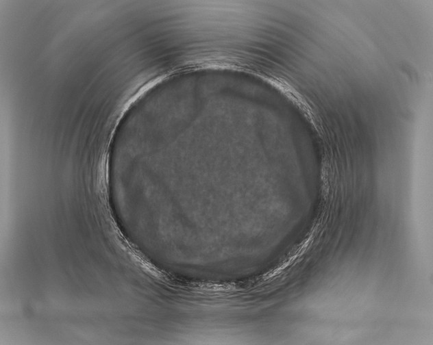 X0000111870790200908201216