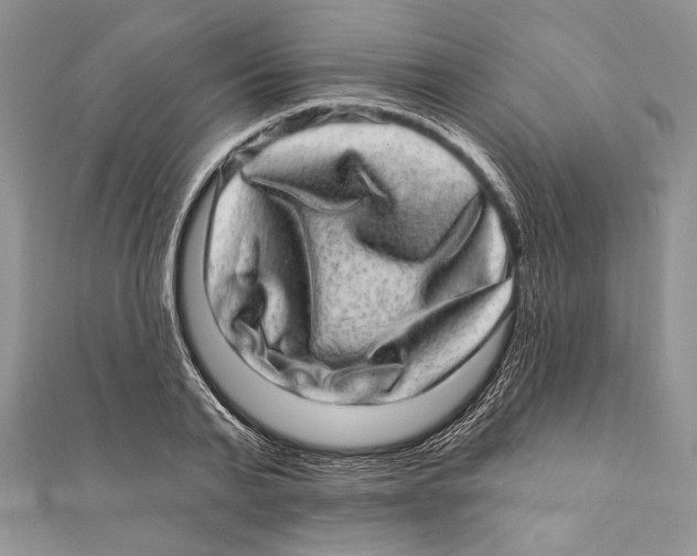 X0000111870791200908201216