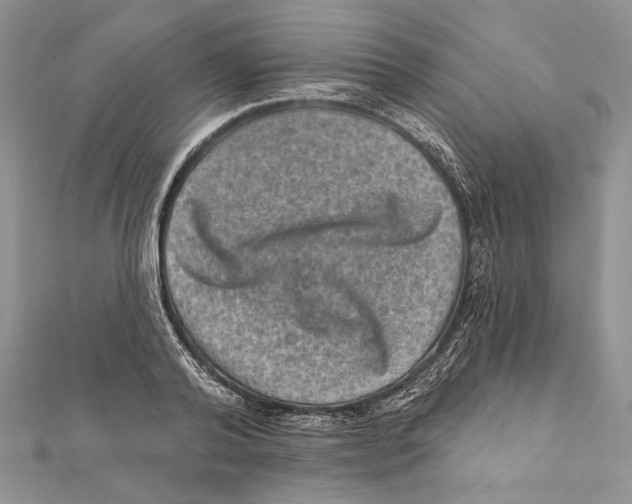 X0000111870792200908201216