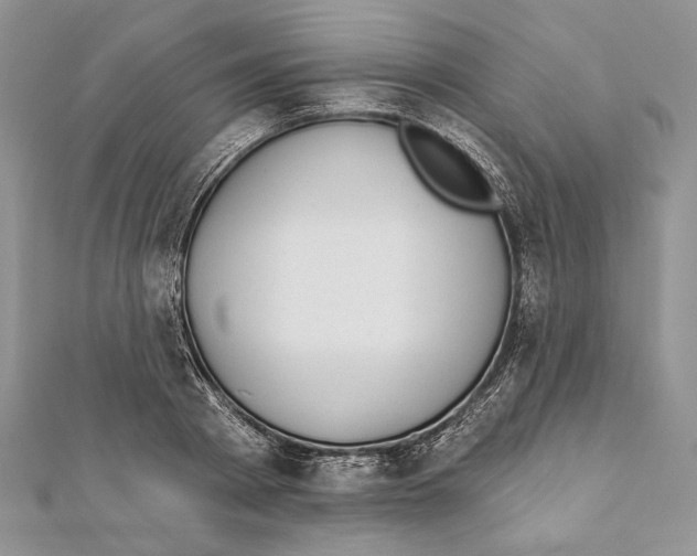 X0000111870793200908201216