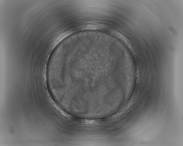 X0000111870794200908201216