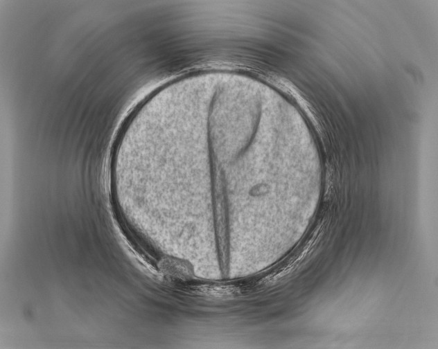 X0000111870795200908201216