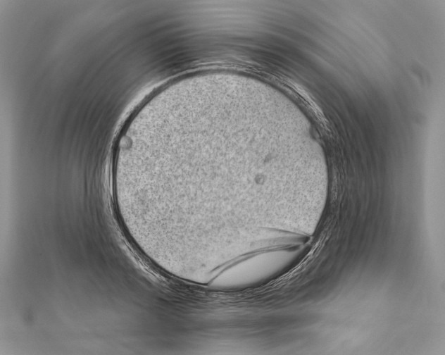 X0000111870796200908201216