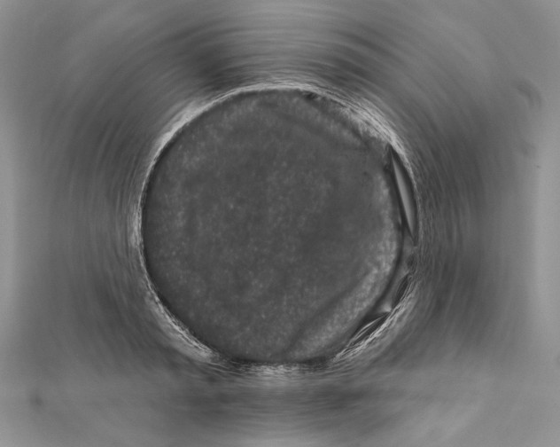 X0000111870797200908201216