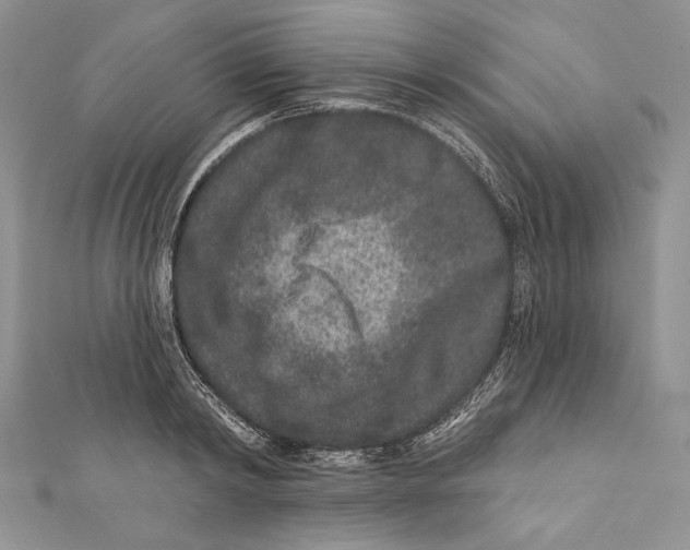 X0000111870798200908201216