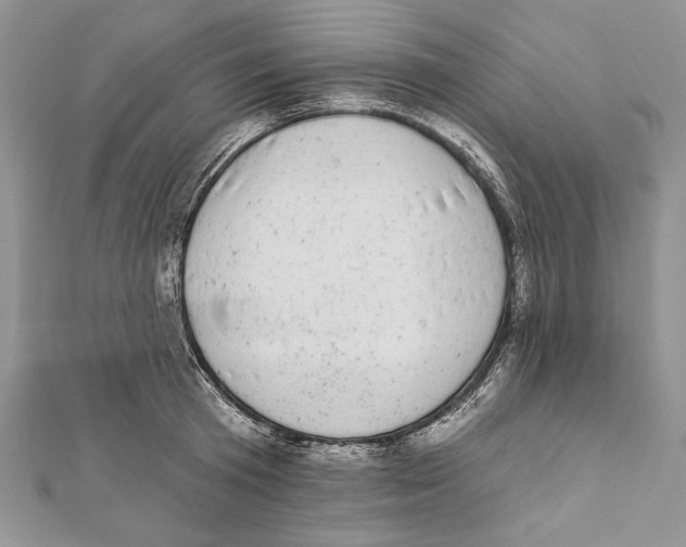 X0000111870801200908201216