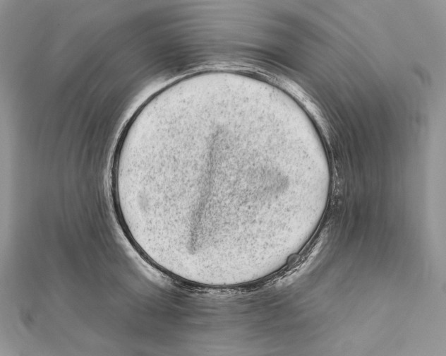 X0000111870803200908201216