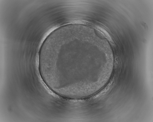 X0000111870804200908201216