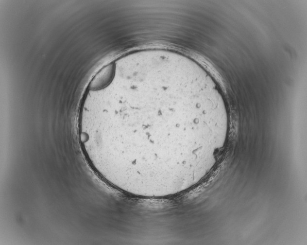 X0000111870805200908201216