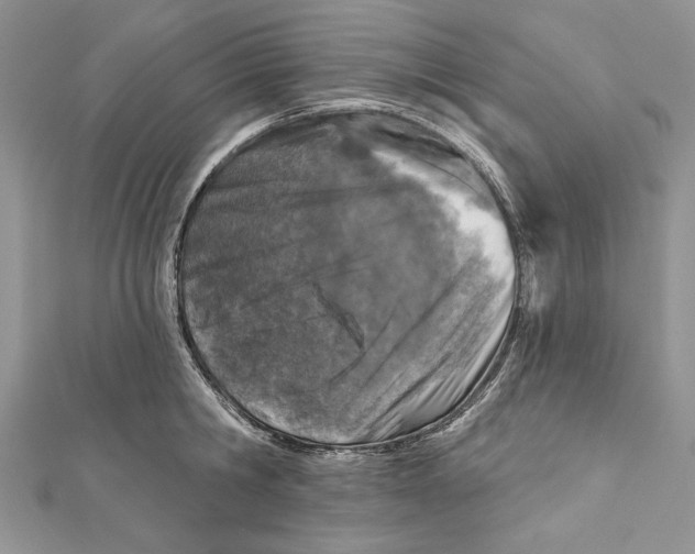 X0000111870806200908201215