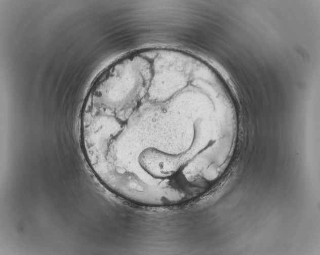 X0000111870807200908201215