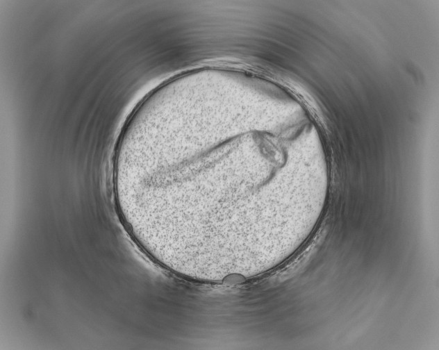 X0000111870808200908201215