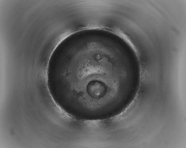 X0000111870810200908201215