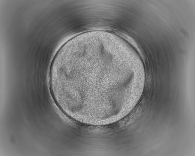 X0000111870811200908201215