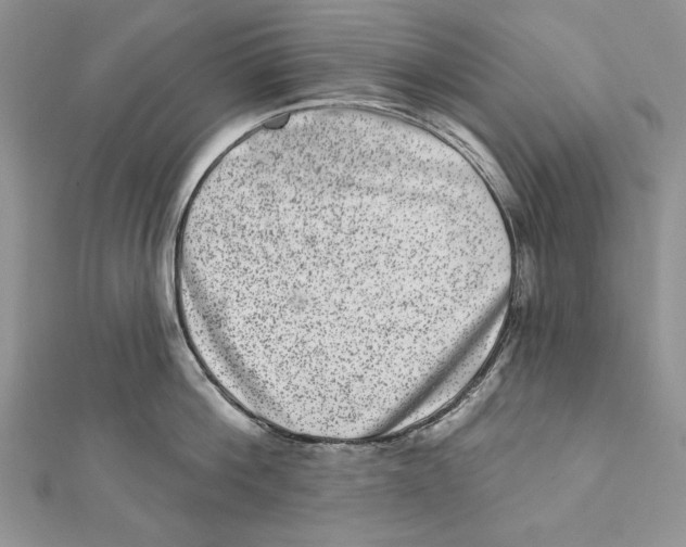 X0000111870812200908201215