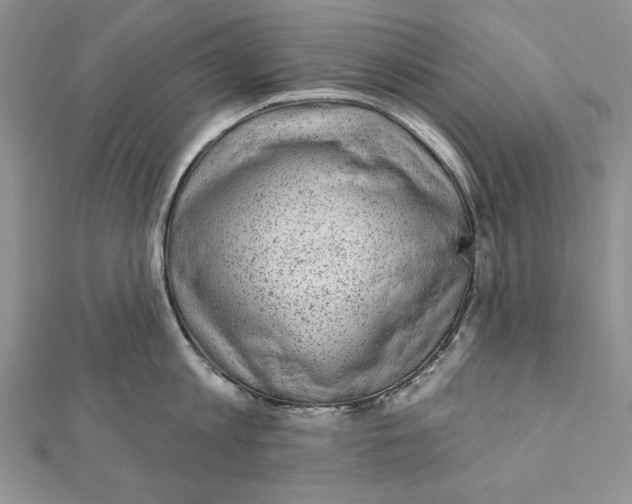 X0000111870813200908201215