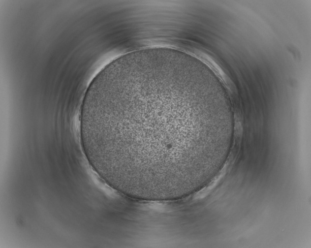 X0000111870814200908201215