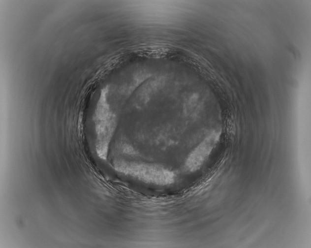 X0000111870818200908201215