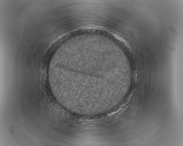 X0000111870821200908201215