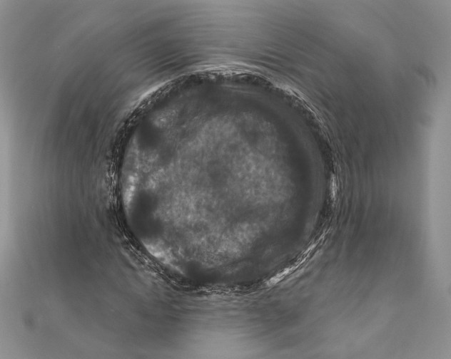 X0000111870822200908201215