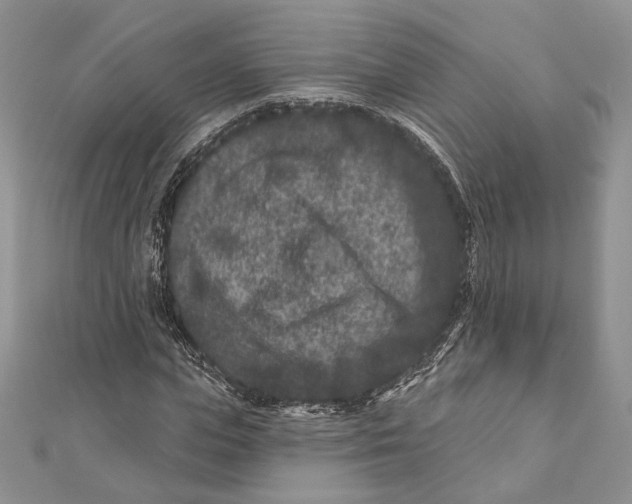 X0000111870823200908201215