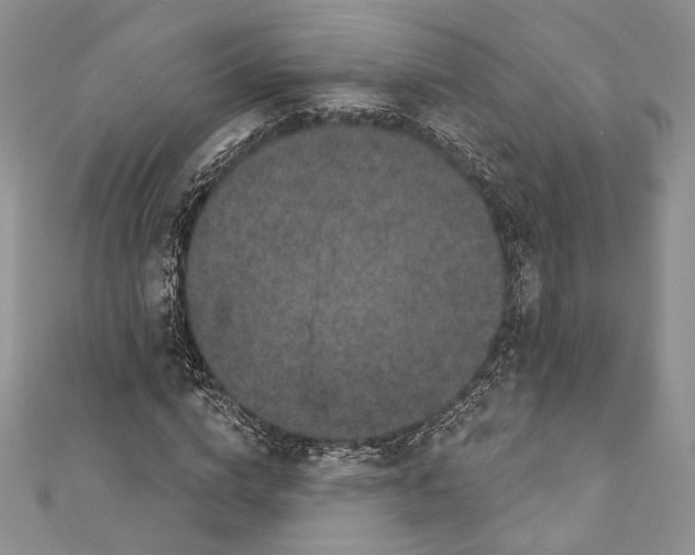 X0000111870824200908201215