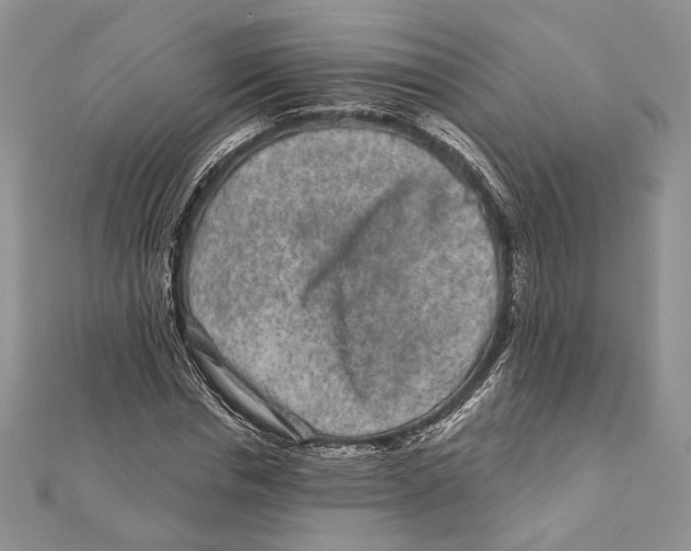 X0000111870826200908201215