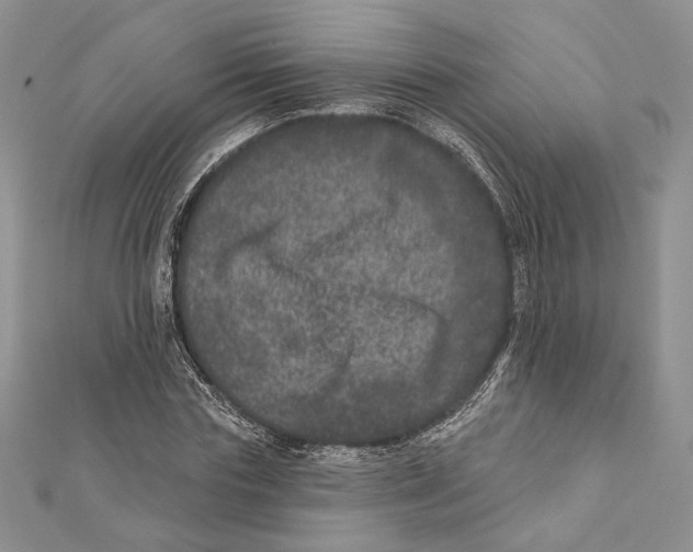 X0000111870827200908201215