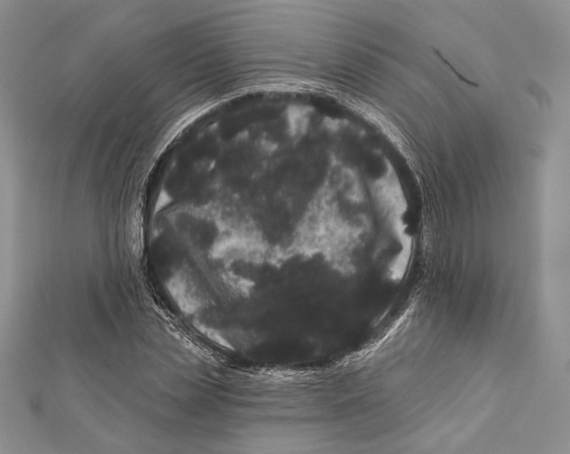 X0000111870829200908201215