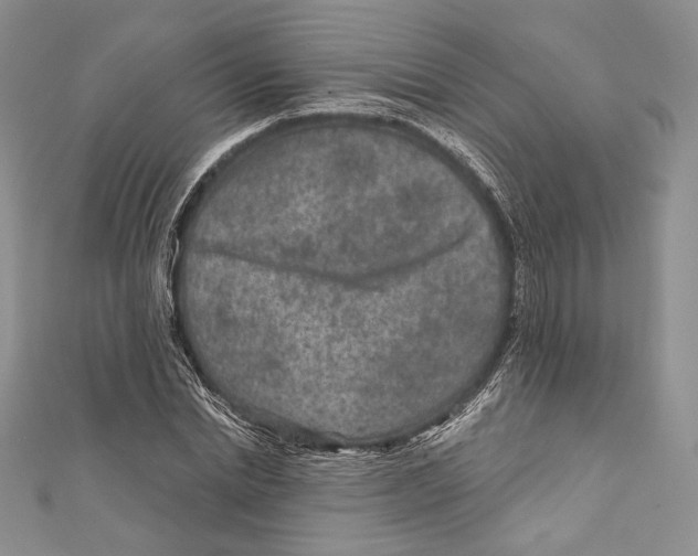 X0000111870830200908201215