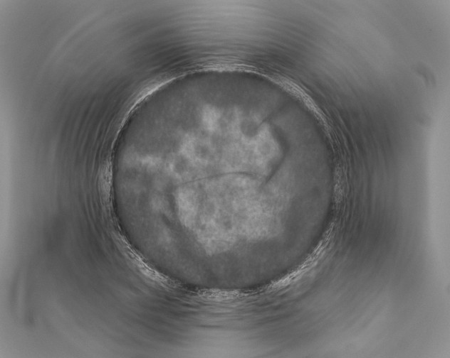 X0000111870831200908201215