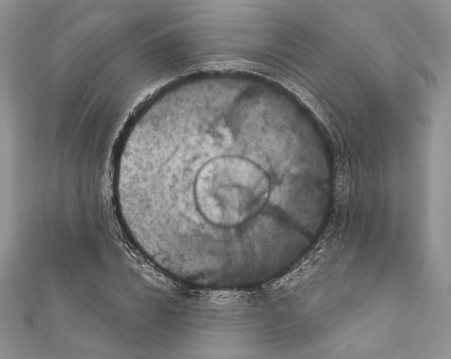 X0000111870832200908201215