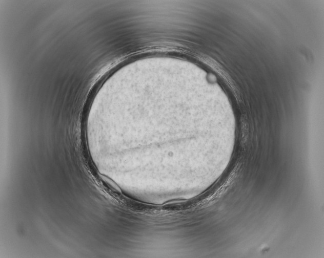 X0000111870834200908201215