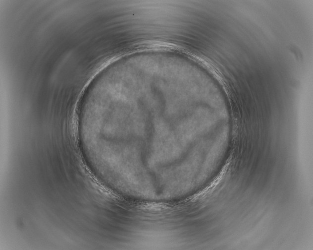 X0000111870835200908201215