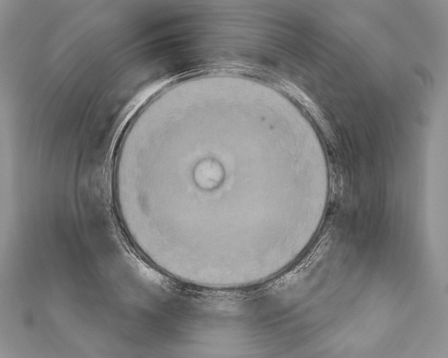 X0000111870836200908201215