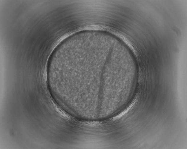 X0000111870837200908201215