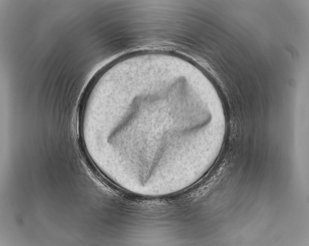 X0000111870838200908201215