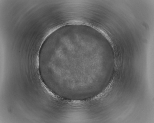 X0000111870839200908201215