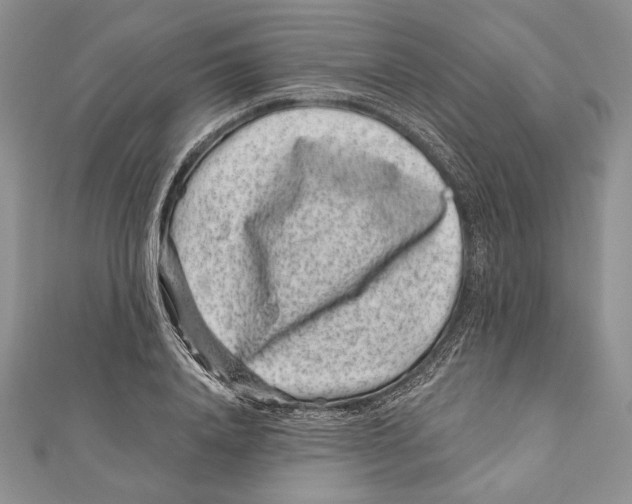 X0000111870840200908201215