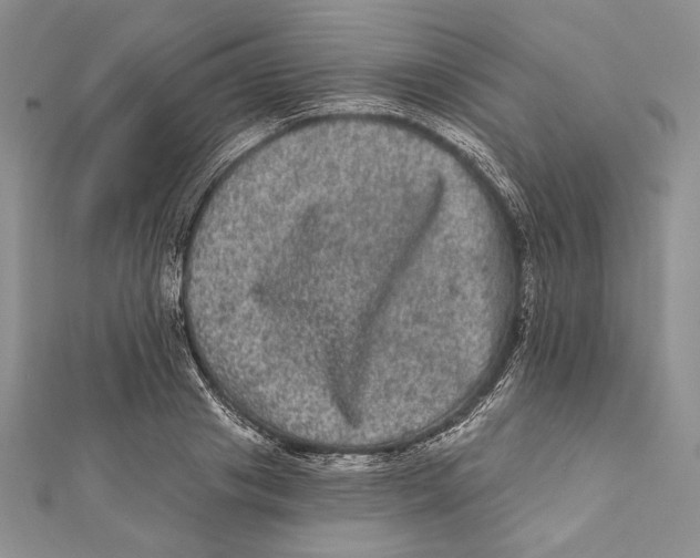 X0000111870841200908201215